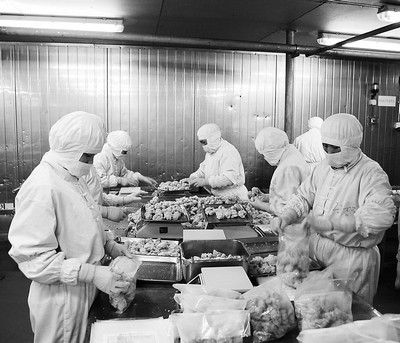 青島檢驗檢疫局助禽類產(chǎn)品企業(yè)出口逆市增長(附圖)