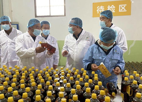 天津市甘肅商會考察武山縣農產品及工藝品生產銷售情況