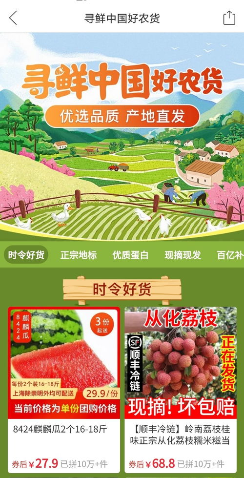夏邑西瓜今夏 火 出圈,秘訣在于這個職業