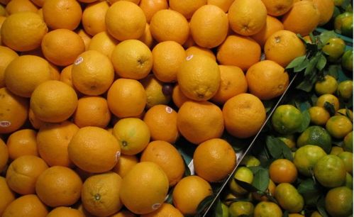 初級農(nóng)產(chǎn)品是不是也可以是預包裝食品