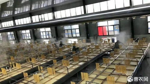 腐竹 廠價直銷 量大可訂做包裝規(guī)格許昌含鹽價格7.2元 斤 惠農(nóng)網(wǎng)