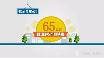 廣西重點建設(shè)36個電商進農(nóng)村綜合示范縣 涉農(nóng)產(chǎn)品銷售65億元