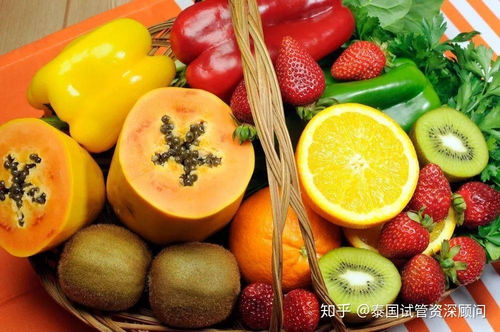 想要做試管嬰兒,肥胖的女性怎么減重呢