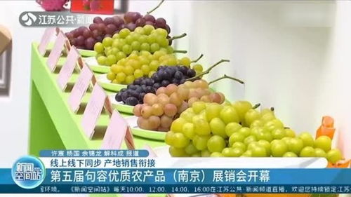 線上線下同步銷售 第五屆句容優(yōu)質(zhì)農(nóng)產(chǎn)品 南京 展銷會開幕