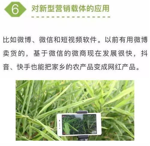 農業七大新型營銷模式，學會一個家禽銷售就能賺不少